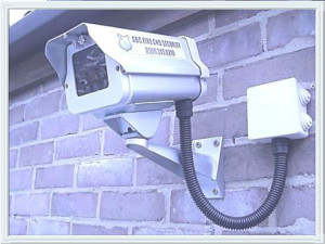 fake security cameras San Diego